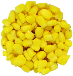 corn-resized Corn