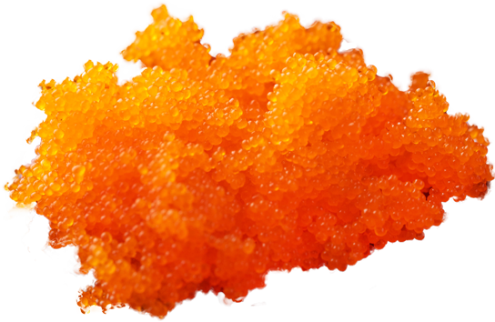 Masago