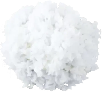 2-WHITE-RICE-resized