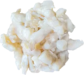 ifp-shrimp-v2-resized