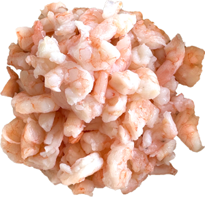 Shrimp